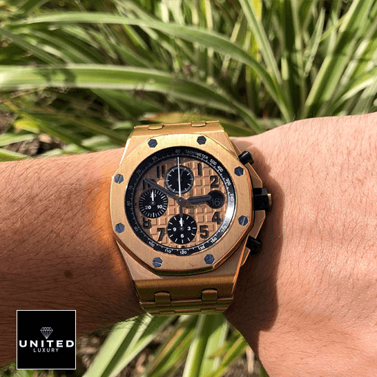Audemars Piguet Royal Oak Rose Gold Dial  grass background