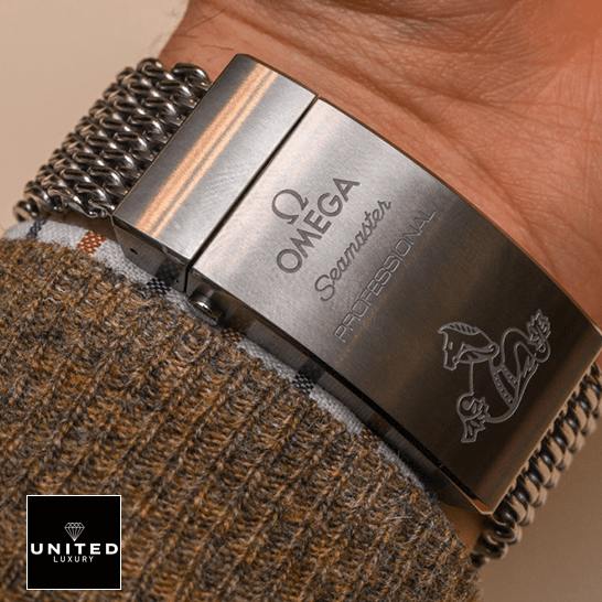 Omega Seamaster Professıonal Steel Clasp  pn the man wrist