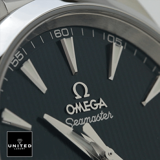 Omega Seamaster Aqua Terra Black Dial  close view