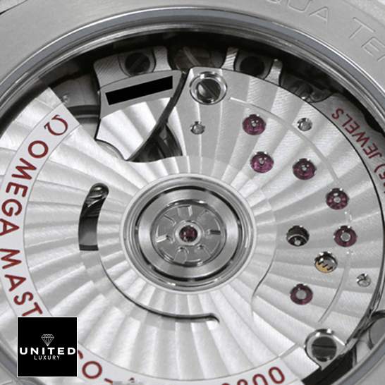 Omega Seamaster Co Axıal 220.13.38.20  mechanism view