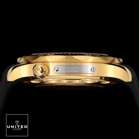 Omega Seamaster Gold Case 1/257  side view black background