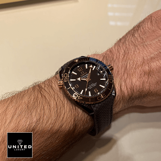 Omega Seamaster Brown Dial Leather Bracelet  on the man wrist