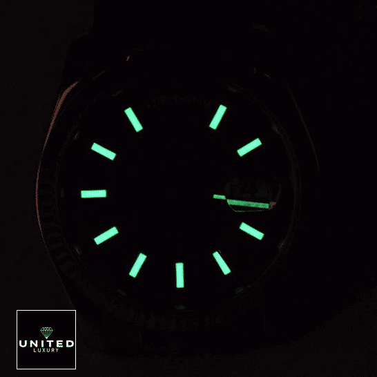 Rolex Day-Date 118138-0003  Luminous Dial