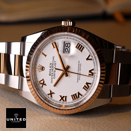 Rolex Datejust 126231 Oyster Roman White Dial  on the box