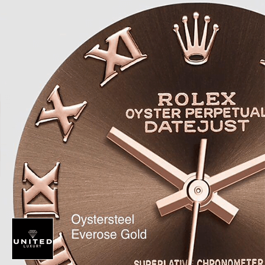 Rolex Datejust Chocolate Roman Dial  white background