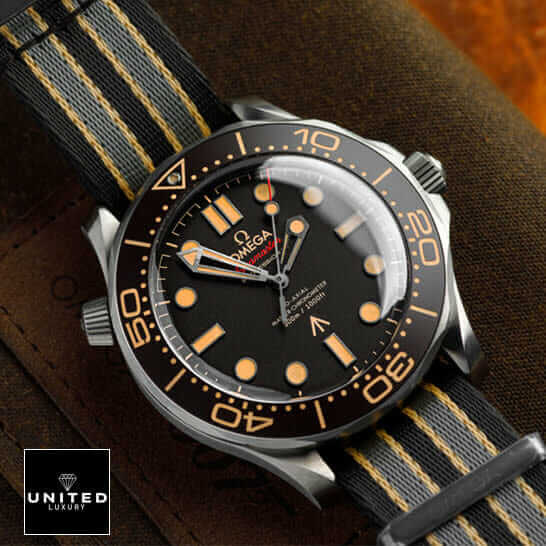 seamaster-8806-5